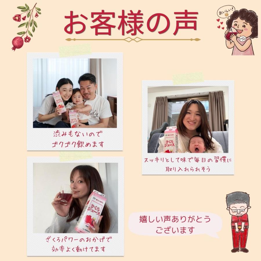 公式】ざくろ100％ジュース(濃縮還元)1000ml×3本 ザクロジュース 野田