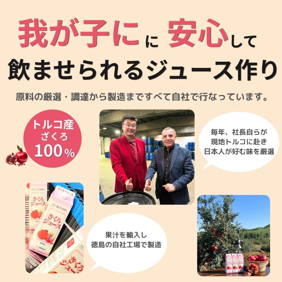 公式】ざくろ100％ジュース(濃縮還元)1000ml×3本 ザクロジュース 野田