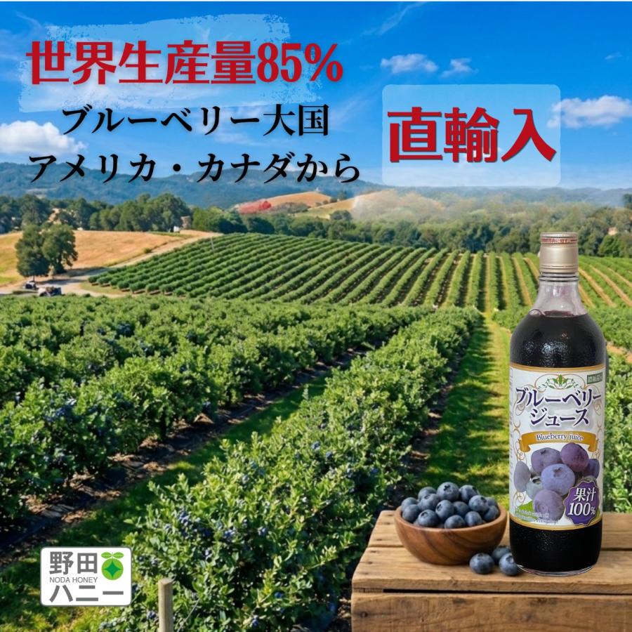 公式】ブルーベリージュース720ml 100％ 3本セット 野田ハニー