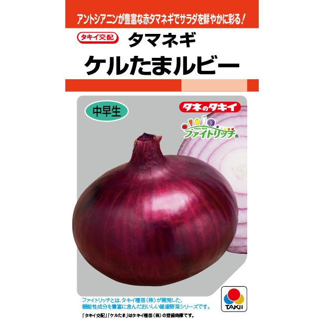 新商品 玉葱苗 赤タマネギ ケルたまルビー(タキイ）20本 レビューを