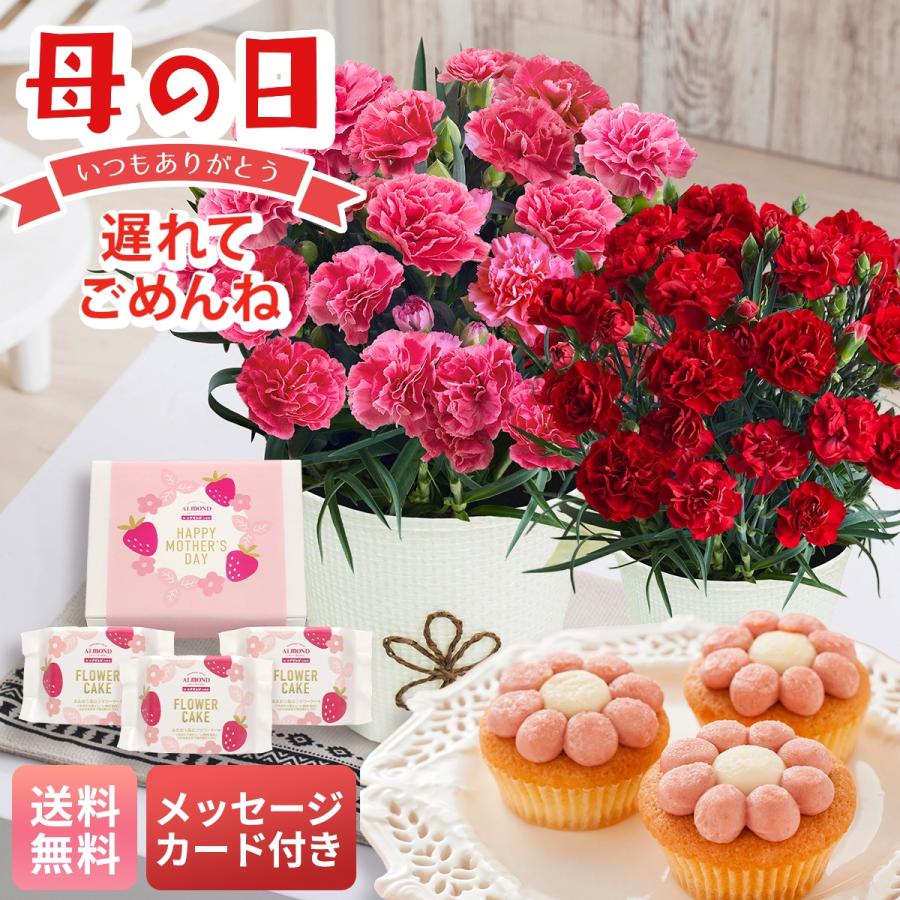 母の日 遅れてごめんね プレゼント 2026 母の日ギフト スイーツ お菓子 洋菓子 送料無料 カーネーション4号鉢 鉢植え 花鉢 2種類から 選べる花＆六本木アマンド（Yahoo!・NOEL-DECO）