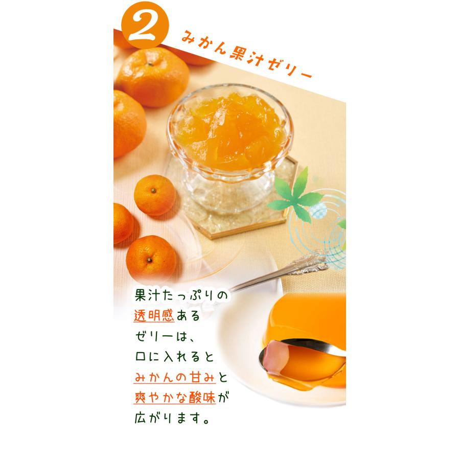 ギフト プレゼント 2025 送料無料 和歌山県産みかん使用 まるごと