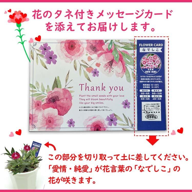 母の日 早割 22 プレゼント 母の日ギフト 花 送料無料 アジサイ マジカルレボリューション Ms37 3 鉢花 包装形態 をご選択下さい 包装不可