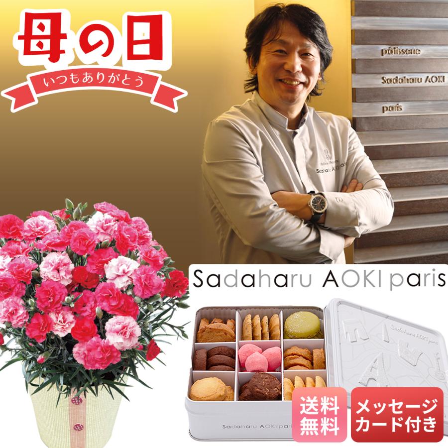 母の日 22 プレゼント 花 スイーツ パティスリー サダハル アオキ パリ コフレ アソーティモン ドゥ ビスキュイ ドゥミ カーネーション U40 26 Noel Deco 通販 Paypayモール