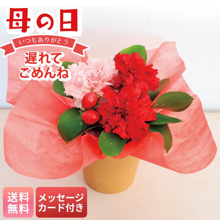 母の日 遅れてごめんね プレゼント 2026 母の日ギフト 花 ギフト 生花
