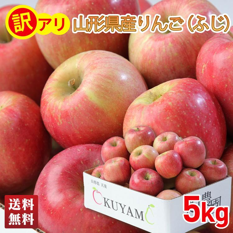 奥山農園から産地直送 りんご ふじりんご 訳あり 送料無料 フルーツ 果物 山形県産 プレゼント 山形県産 訳ありりんご ふじ 5kg T12 5 Noel Deco 通販 Paypayモール