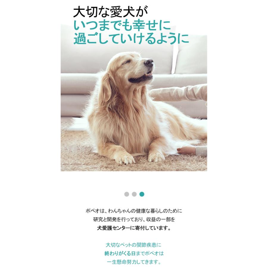 Poveo膝蓋骨サポーター 2xl 3xl 4xl 左 右 レベル3 スプリントのみ追加 パテラ 膝蓋骨脱臼サポーター 矯正 リハビリ 犬 ポベオ 犬用膝サポーター Maska 006 Noel J K 通販 Yahoo ショッピング