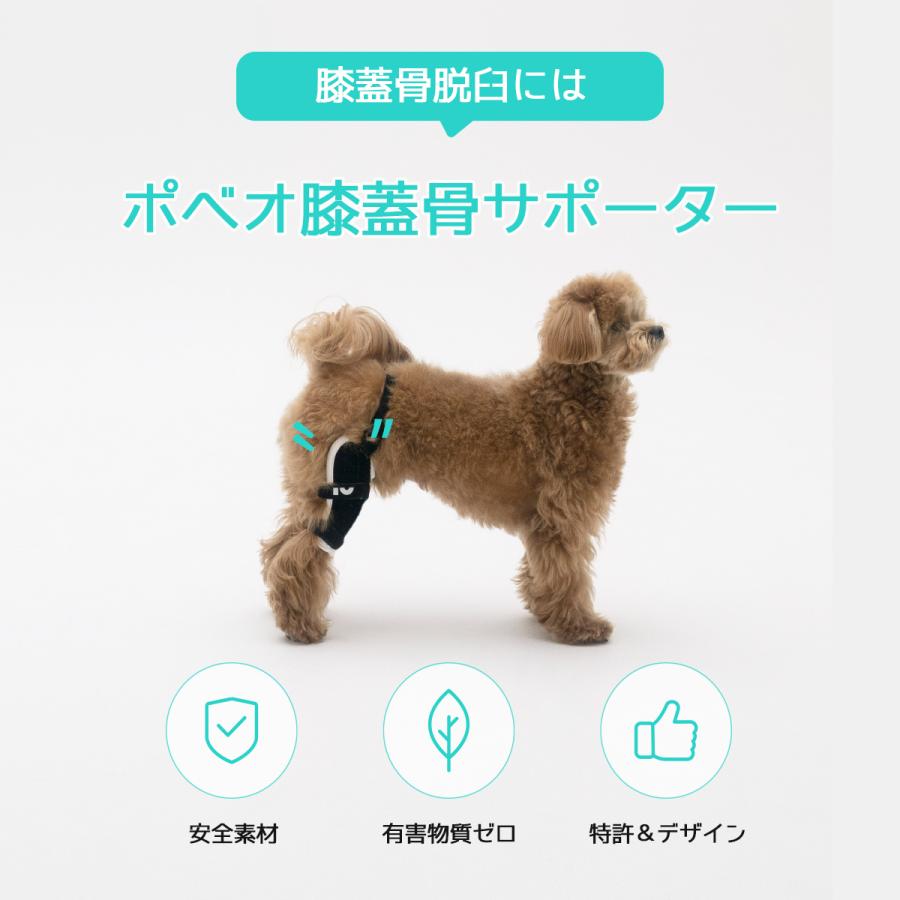 Poveo膝蓋骨サポーター L Xl 左 右 レベル2 パテラ 膝蓋骨脱臼サポーター 矯正 リハビリ 犬 サポーター ポベオ 犬用膝サポーター 膝蓋骨脱臼 Paveo 002 Noel J K 通販 Yahoo ショッピング