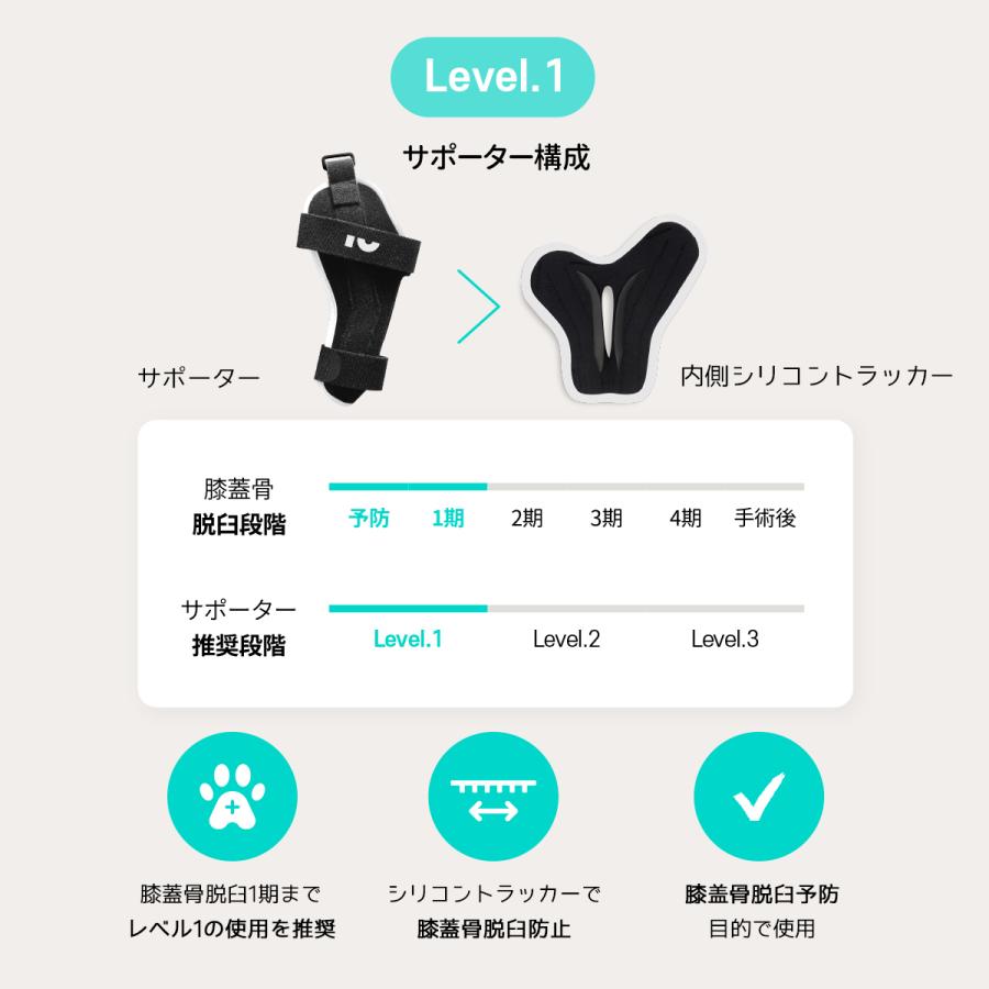 Poveo膝蓋骨サポーター L Xl 左 右 レベル2 パテラ 膝蓋骨脱臼サポーター 矯正 リハビリ 犬 サポーター ポベオ 犬用膝サポーター 膝蓋骨脱臼 Paveo 002 Noel J K 通販 Yahoo ショッピング