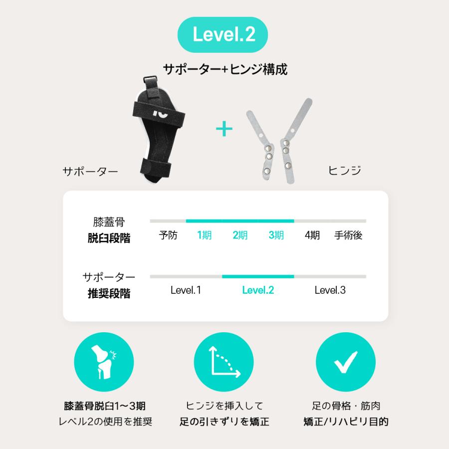 Sale 84 Off Poveo膝蓋骨サポーター L Xl 左 右 レベル2 パテラ 膝蓋骨脱臼サポーター 矯正 リハビリ 犬 サポーター ポベオ 犬用膝サポーター 膝蓋骨脱臼 Dprd Jatimprov Go Id