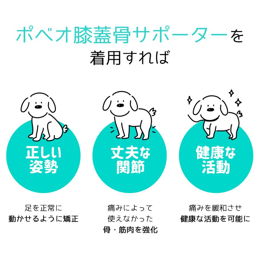 Sale 84 Off Poveo膝蓋骨サポーター L Xl 左 右 レベル2 パテラ 膝蓋骨脱臼サポーター 矯正 リハビリ 犬 サポーター ポベオ 犬用膝サポーター 膝蓋骨脱臼 Dprd Jatimprov Go Id