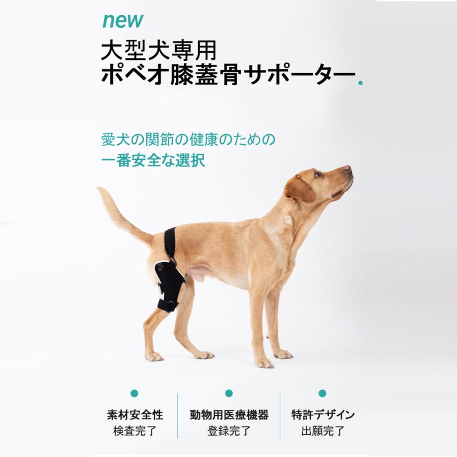 Poveo膝蓋骨サポーター 2xl 3xl 4xl 左 右 レベル1 サポーターのみ パテラ 膝蓋骨脱臼サポーター 矯正 リハビリ 犬 ポベオ 犬用膝サポーター Paveo 005 Noel J K 通販 Yahoo ショッピング