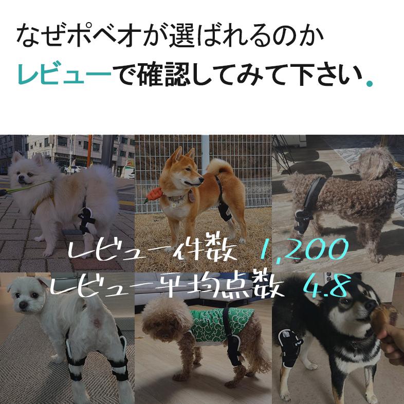 Sale 97 Off Poveo膝蓋骨サポーター 2xl 3xl 4xl 左 右 レベル1 サポーターのみ パテラ 膝蓋骨脱臼サポーター 矯正 リハビリ 犬 ポベオ 犬用膝サポーター Inova Auto Com