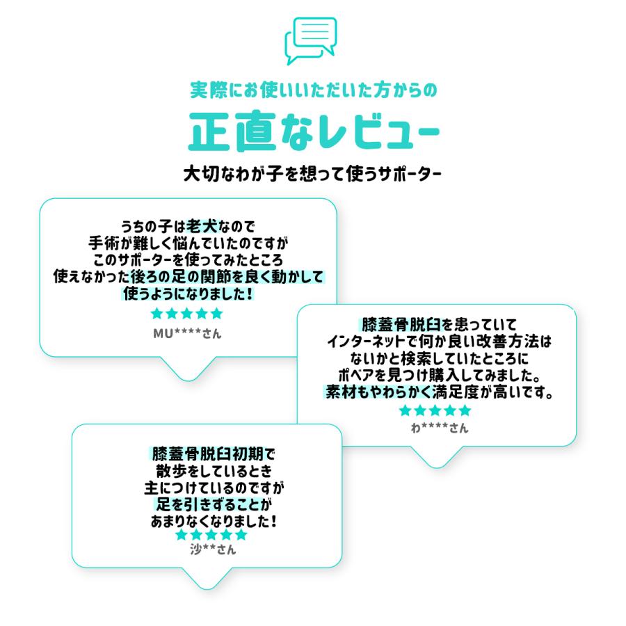 Poveo膝蓋骨サポーター Xs S M 左 右 レベル3 パテラ ポベオ サポーター 膝蓋骨脱臼 膝蓋骨脱臼サポーター 人気の製品 リハビリ 矯正 犬 用膝サポーター 犬