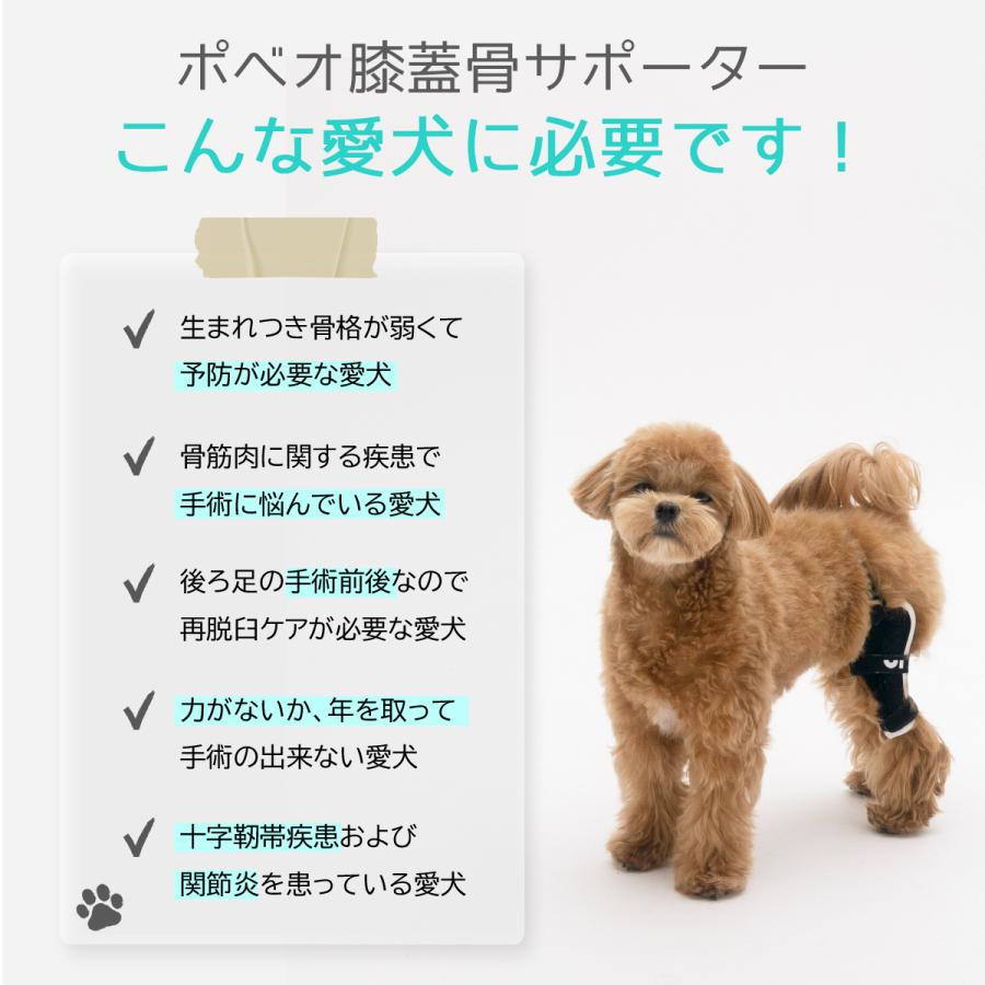 Poveo膝蓋骨サポーター Xs S M 左 右 レベル3 パテラ 膝蓋骨脱臼サポーター 矯正 リハビリ 犬 サポーター ポベオ 犬用膝サポーター 膝蓋骨脱臼 Poveo 003 Noel J K 通販 Yahoo ショッピング