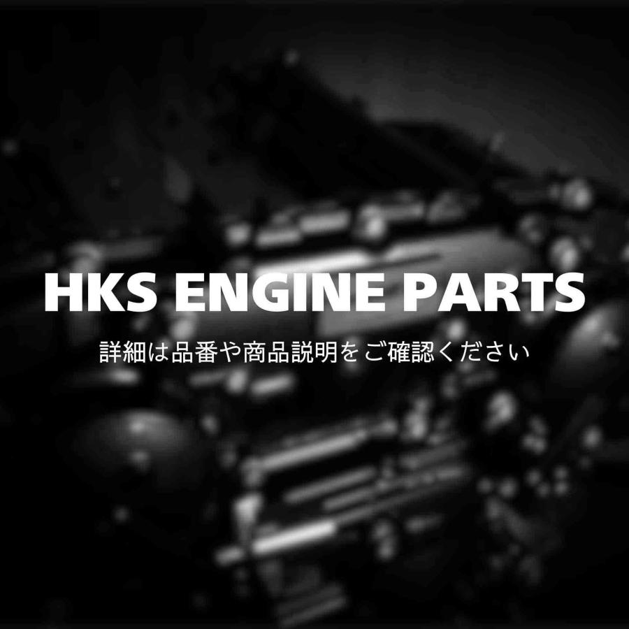 HKS（エッチケーエス） 22999-AK001 V CAM SYSTEM オーバーホール