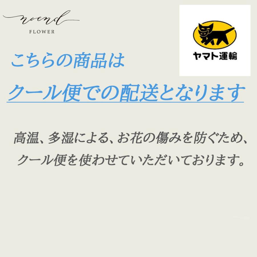 クール便でお届け フラワーギフト おまかせ生花フラワーアレンジメント 誕生日プレゼント 退職祝い 送別 出産祝い 記念日 退院祝い｜noend-flower｜09