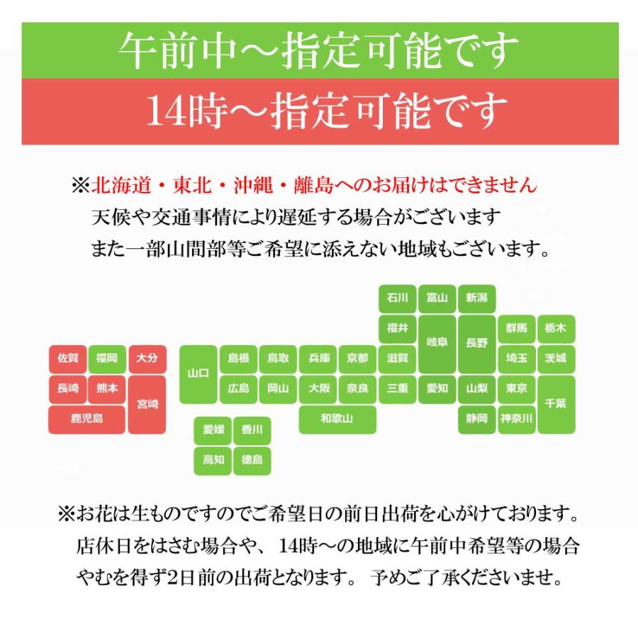 花ギフト おまかせ花束 ブーケ お祝い お誕生日プレゼント 退職祝い 送別 発表会 退院祝い｜noend-flower｜04