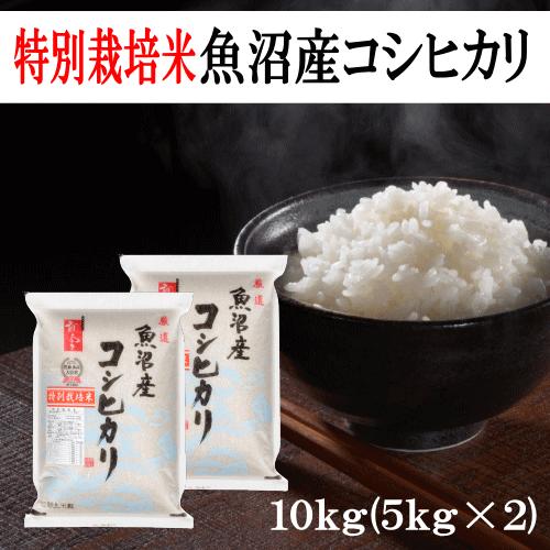 コシヒカリ 送料無料 令和6年産 特別栽培米魚沼産コシヒカリ コシヒカリ 送料無料 令和6年産 特別栽培米魚沼産コシヒカリ