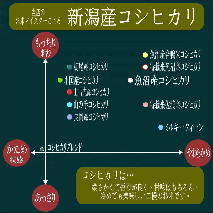 送料無料 令和５年産 新潟県産コシヒカリ 10kg(5kg×2) おこめ 精米 新潟｜nogami-kometen｜05