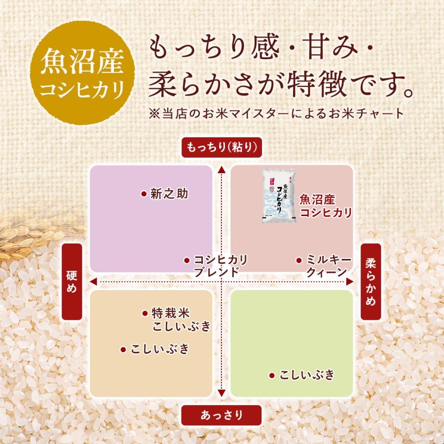 コシヒカリ 令和7年産 魚沼産コシヒカリ 10kg（5kg×2袋）送料