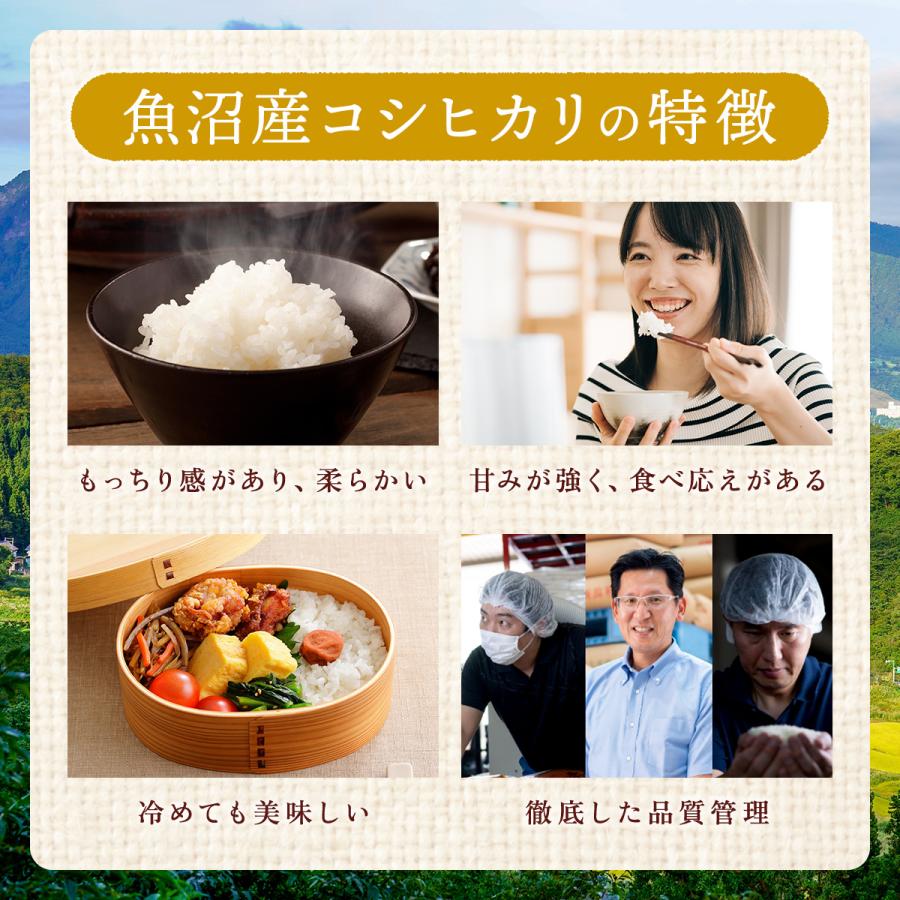 コシヒカリ 令和7年産 魚沼産コシヒカリ 10kg（5kg×2袋）送料