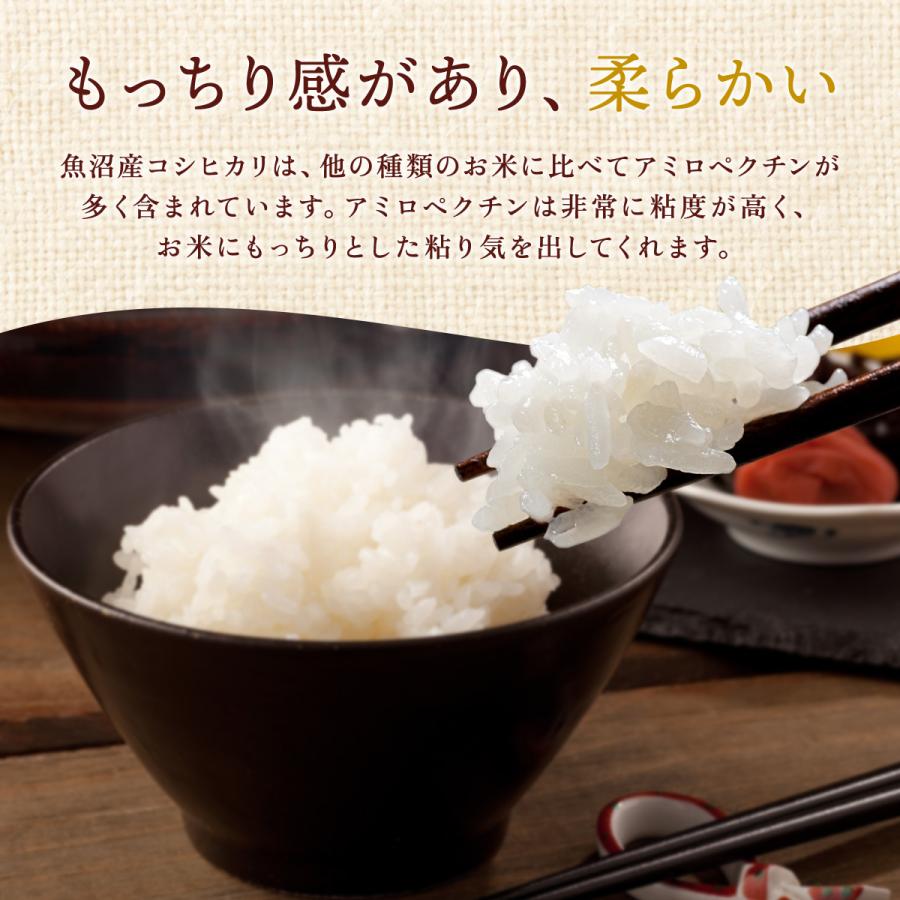 コシヒカリ 令和7年産 魚沼産コシヒカリ 10kg（5kg×2袋）送料