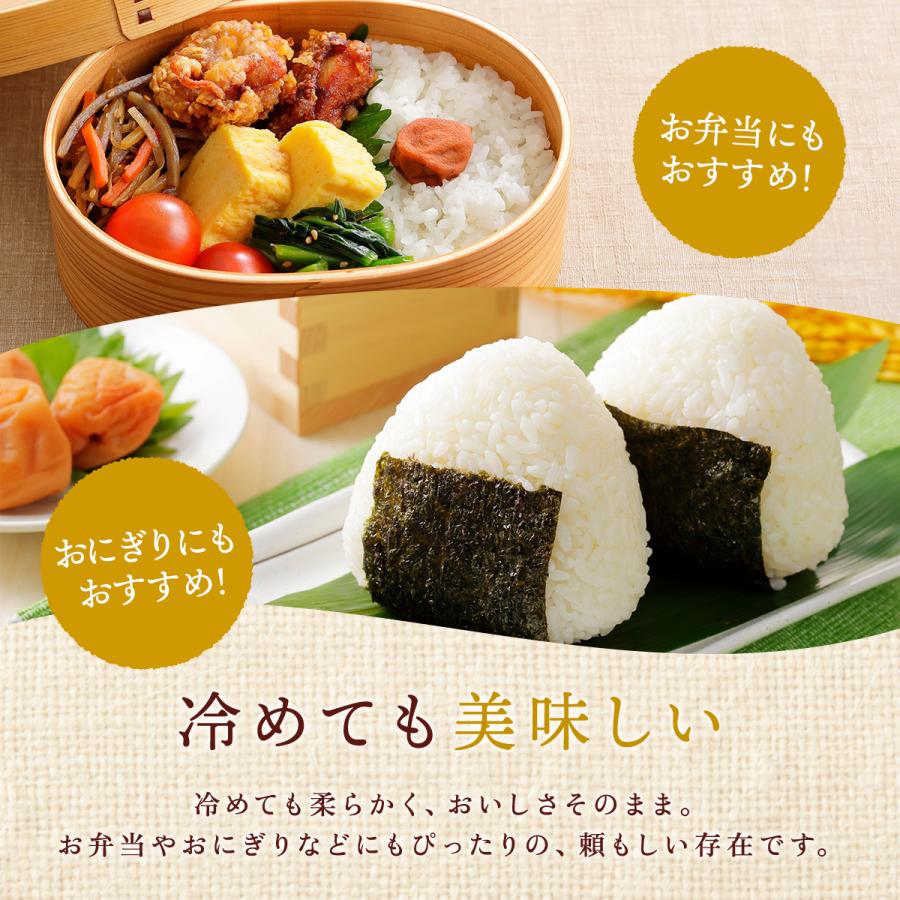 コシヒカリ 令和7年産 魚沼産コシヒカリ 10kg（5kg×2袋）送料