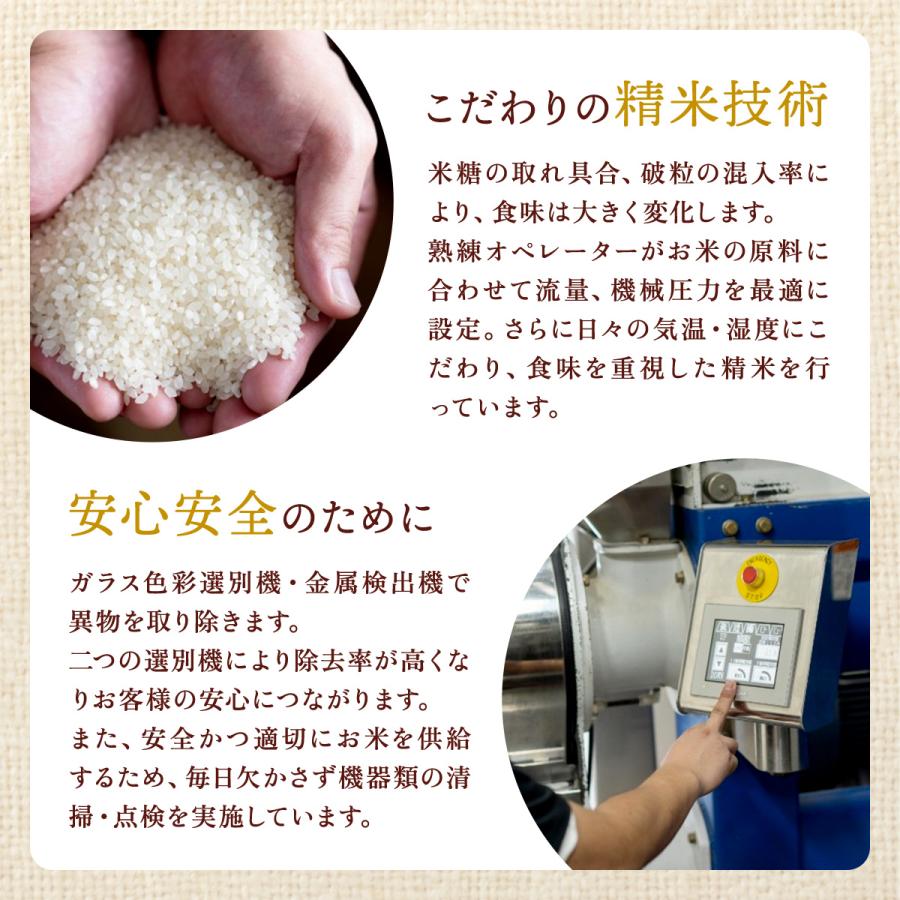コシヒカリ 令和7年産 魚沼産コシヒカリ 10kg（5kg×2袋）送料