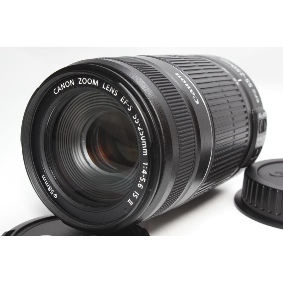 望遠レンズ Canon キヤノン EF-S 55-250mm F4-5.6 IS II レンズ 手ブレ