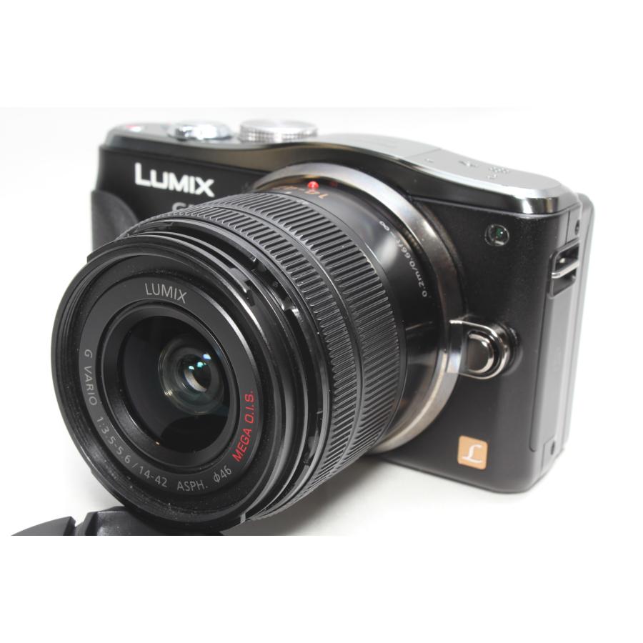 Panasonic ショット数極少 ミラーレス一眼 パナソニック LUMIX