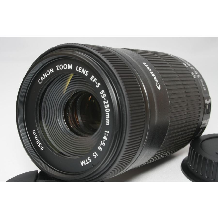 望遠レンズ Canon キヤノン EF-S 55-250mm F4-5.6 IS STM レンズ 手