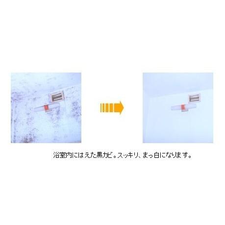 カビ取り剤 浴室 お風呂場の黒カビ取り 超強力パワー 業務用 カビ取り剤 B-1ポリ容器１６L_2