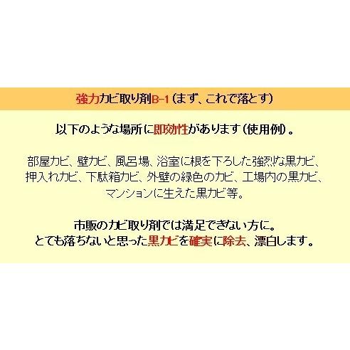 カビ取り剤 浴室 お風呂場の黒カビ取り 超強力パワー 業務用 カビ取り剤 B-1ポリ容器１６L_3
