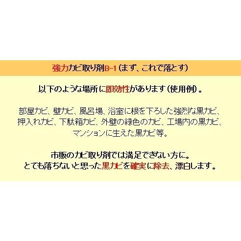 カビ取り剤 浴室 お風呂場の黒カビ取り 超強力パワー 業務用 カビ取り剤 B-1ボトル ４リットル｜noguchi-shouji｜04