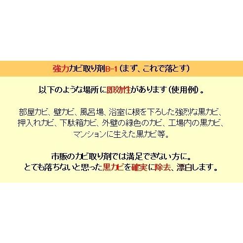 カビ取り剤 カビ取りジェル 業務用 強力カビ落とし２本セット（A）