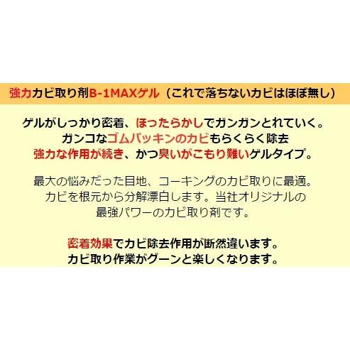 カビ取り剤 カビ取りジェル 業務用 強力カビ落とし２本セット（A）