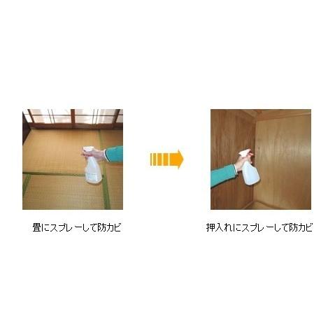 防カビ剤 黒カビ防止 業務用 強力パワー 防カビ剤　B-10 ボトル 2リットル_1