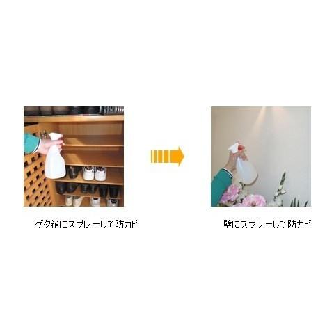 防カビ剤 黒カビ防止 業務用 強力パワー 防カビ剤　B-10 ボトル 2リットル_3