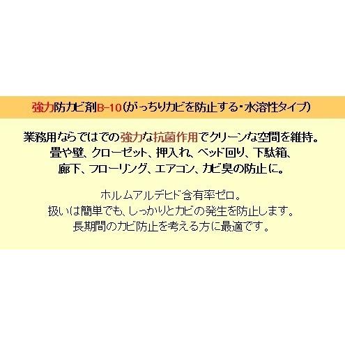 防カビ剤 黒カビ防止 業務用 強力パワー 防カビ剤　B-10 ボトル 2リットル_4