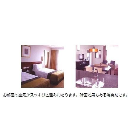 部屋の臭い対策 消臭剤 部屋の臭い消し タバコの臭い取りに 業務用 強力 部屋消臭剤 R 1 ボトル 1リットル 無香料 R 1 1000b 野口商事ヤフーショップ 通販 Yahoo ショッピング