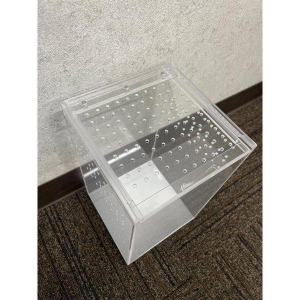 爬虫類飼育ケース アクリル 爬虫類 飼育ケース 【縦型タイプ】 昆虫飼育ケース クモ