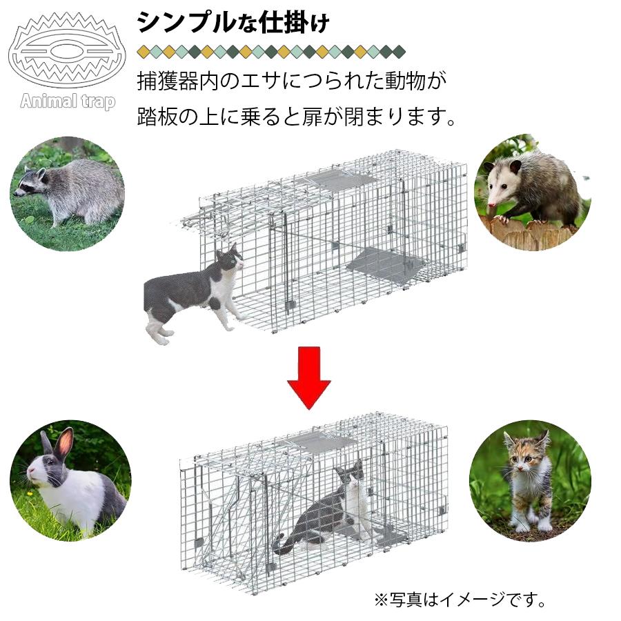 捕獲器 猫 アニマルトラップ トラップ 【LLサイズ】 駆除 捕獲 踏板式