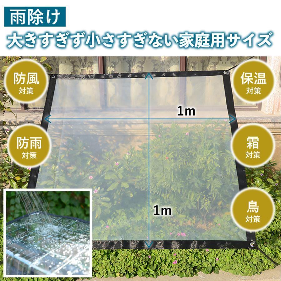 雨除け 遮光 ネット 2枚セット 1m×1m 園芸 植物 多肉 家庭菜園