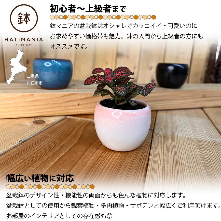 盆栽鉢　時代陶一手捻り盆栽鉢小品盆栽山野草鉢植木鉢多肉植物 盆栽鉢 山野草鉢 「信楽焼楽風ミニ鉢8点セット」 植木鉢 陶器 2号 7cm