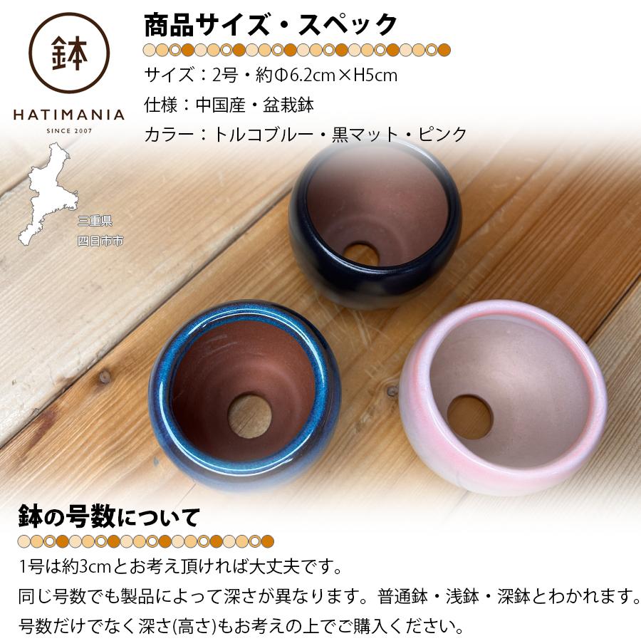 HATIMANIA 鉢マニア 丸鉢 2号 盆栽鉢 水が抜けやすい 小さい 小サイズ