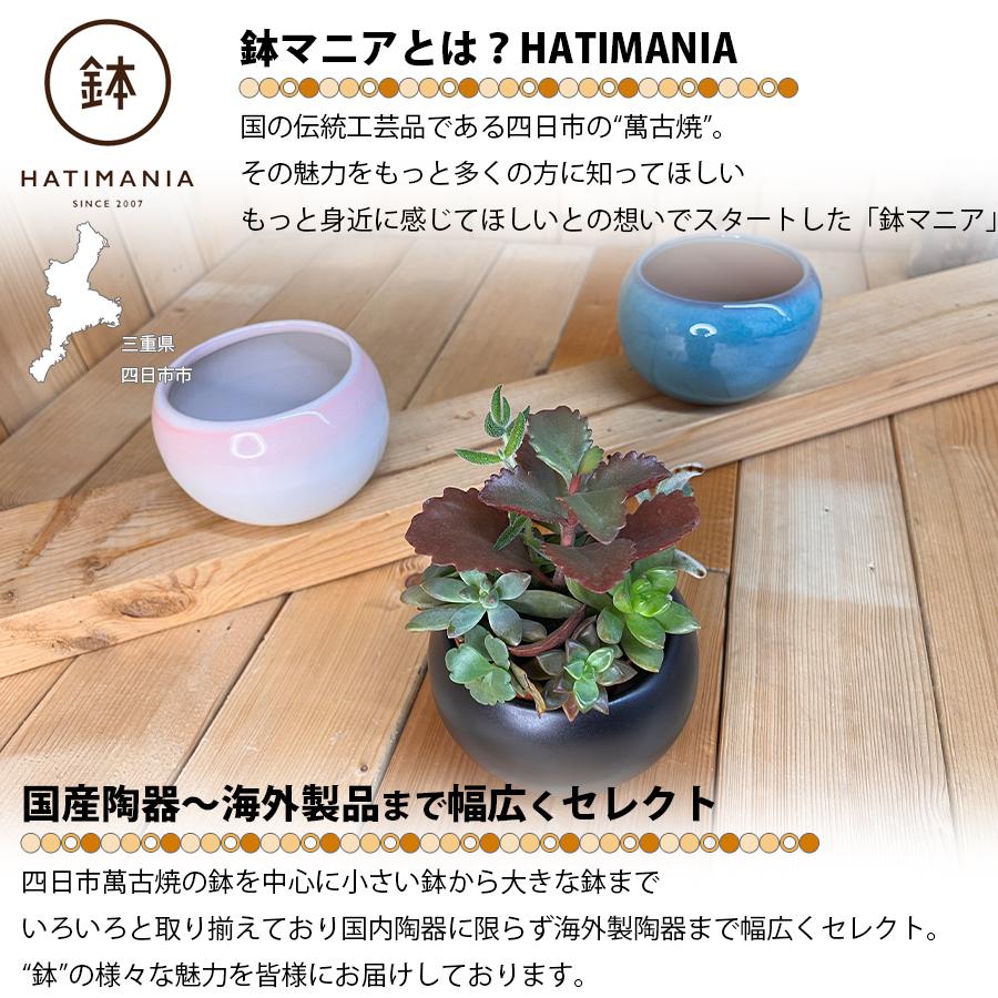 HATIMANIA 鉢マニア 丸 3.5号 盆栽鉢 水が抜けやすい 小さい 小サイズ