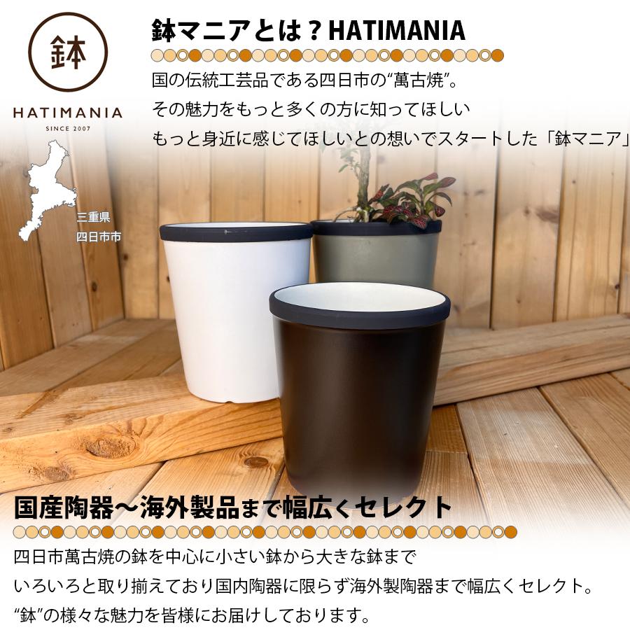 HATIMANIA 鉢マニア 丸深 4号 盆栽鉢 水が抜けやすい 陶器 森三 伝統