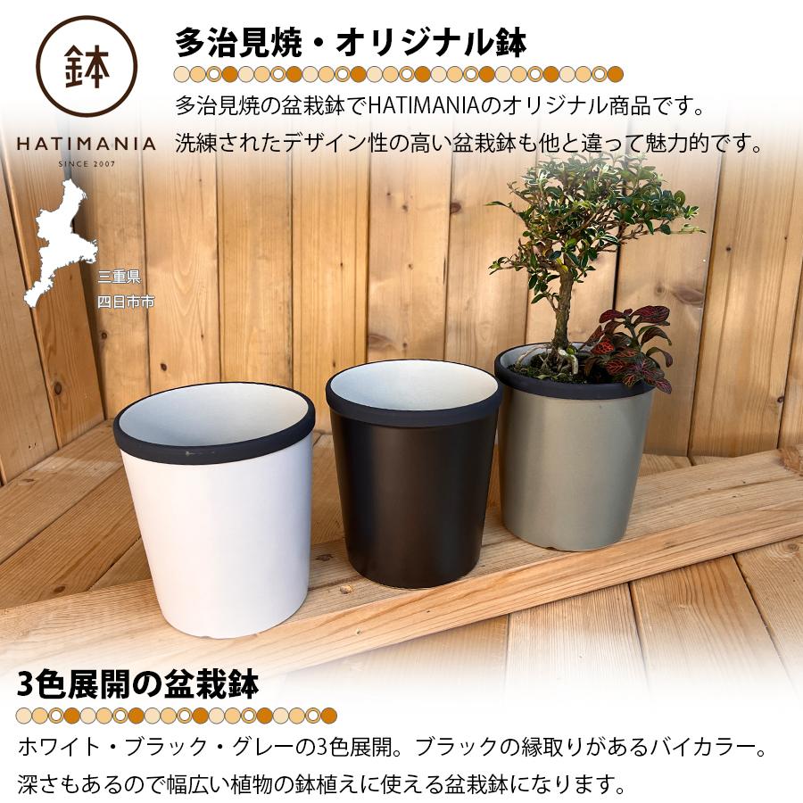 HATIMANIA 鉢マニア 丸深 4号 盆栽鉢 水が抜けやすい 陶器 森三 伝統