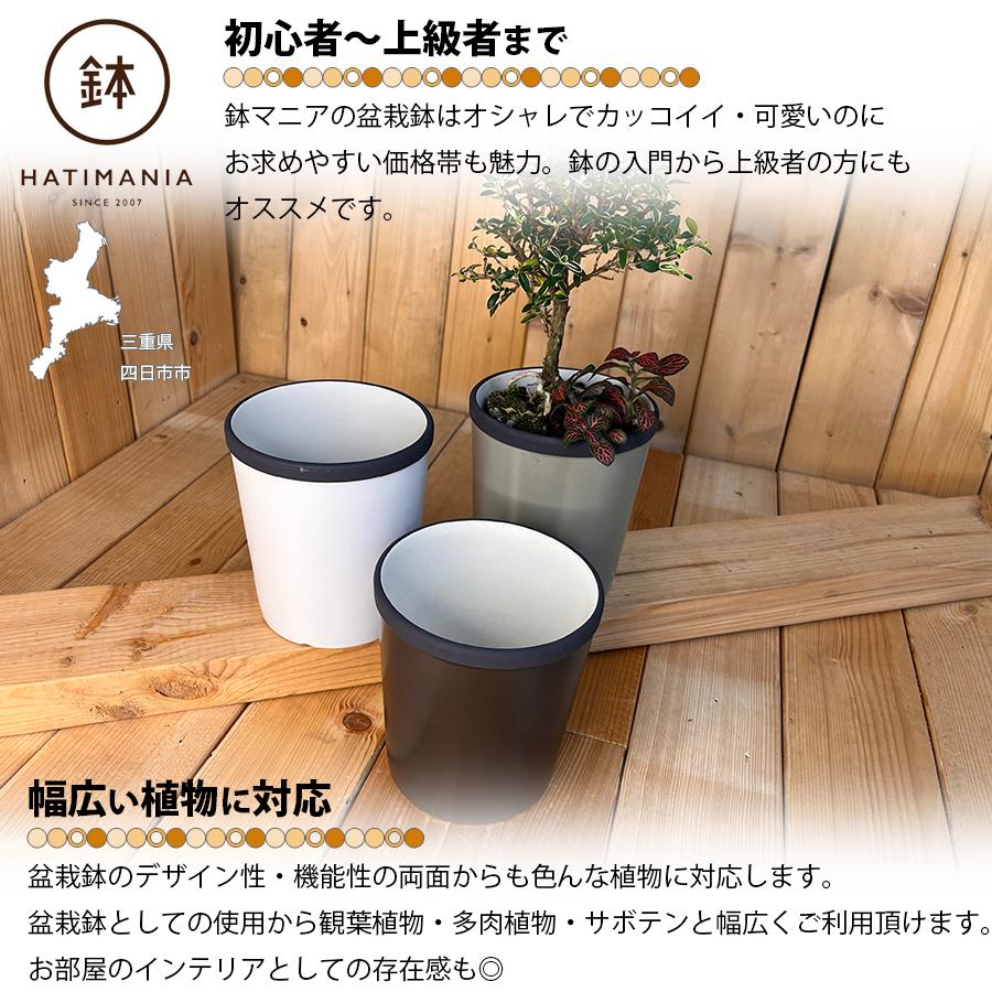 HATIMANIA 鉢マニア 丸深 4号 盆栽鉢 水が抜けやすい 陶器 森三 伝統